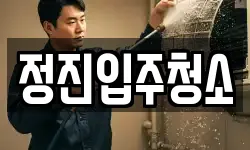 정진입주청소