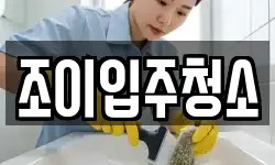 조이입주청소