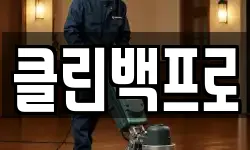 클린백프로