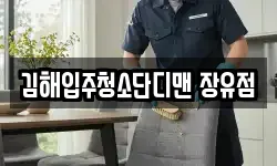 김해입주청소단디맨 장유점