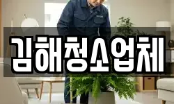 김해청소업체