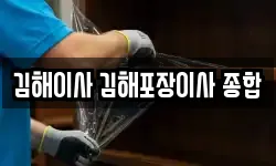 김해이사 김해포장이사 종합