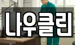나우클린