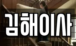 김해이사