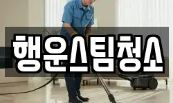 행운스팀청소
