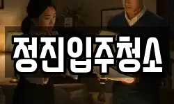 정진입주청소