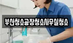 부산청소공장청소사무실청소