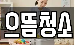 으뜸청소