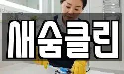 새숨클린