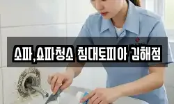 소파,쇼파청소 침대토피아 김해점