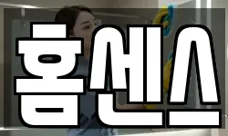 홈센스