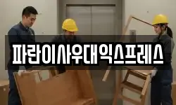 파란이사우대익스프레스
