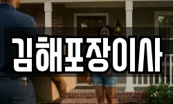 김해포장이사