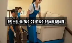 용달,화물,바이크탁송,오토바이탁송,용달이사,원룸이사