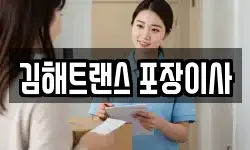 김해트랜스 포장이사