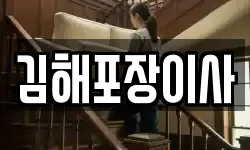 김해포장이사