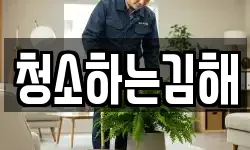 청소하는김해