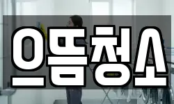 으뜸청소