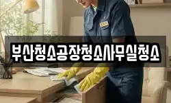 부산청소공장청소사무실청소