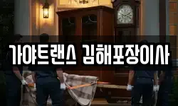 경남 김해시 풍유동 이사,용달이사,포장이사,원룸이사,보관이사