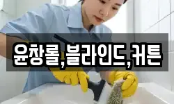 윤창롤,블라인드,커튼