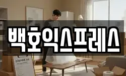 백호익스프레스
