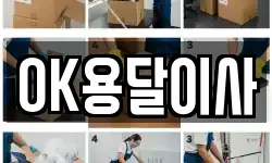 OK용달이사