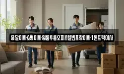 용달이사소형이사원룸투룸오피스텔반포장이사1톤트럭이사