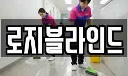 로지블라인드