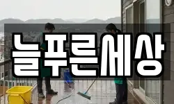늘푸른세상