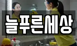 늘푸른세상