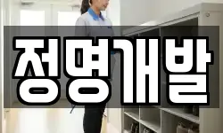 정명개발