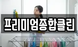 프리미엄종합클린