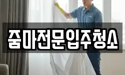 줌마전문입주청소