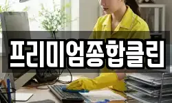 프리미엄종합클린