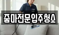줌마전문입주청소