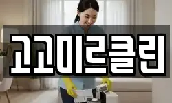 고고미르클린