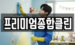 프리미엄종합클린