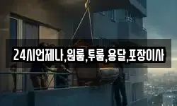 24시언제나,원룸,투룸,용달,포장이사