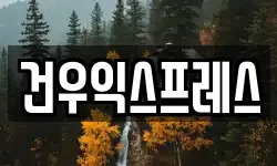 건우익스프레스