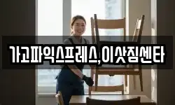 가고파익스프레스,이삿짐센타