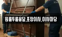 경남 사천시 늑도동 이사,용달이사,포장이사,원룸이사,보관이사