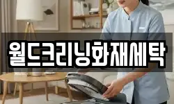 월드크리닝화재세탁