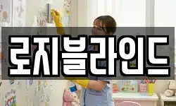 로지블라인드