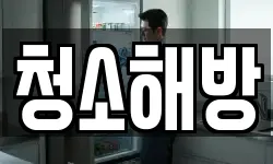 청소해방