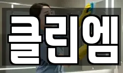 클린엠