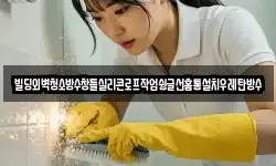 빌딩외벽청소방수창틀실리콘로프작업슁글선홈통설치우레탄방수