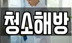 청소해방