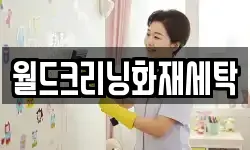 월드크리닝화재세탁