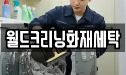월드크리닝화재세탁